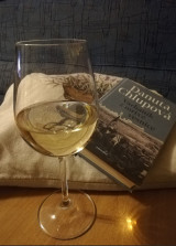 Varhaník z mrtvé vesnice, Chlupová D_.jpg